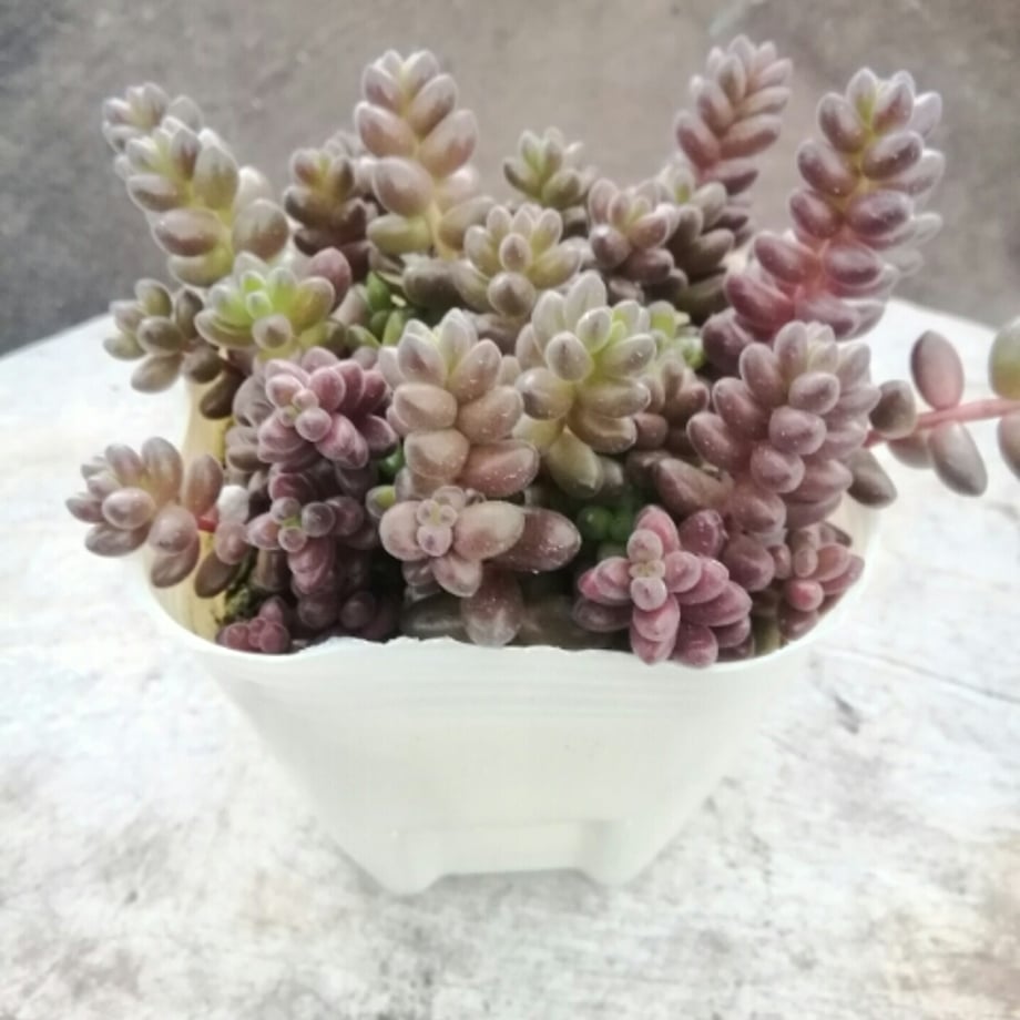 660ce0ab7cf6bd060dad942f