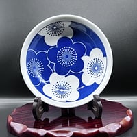 Sashimi dish  中鉢