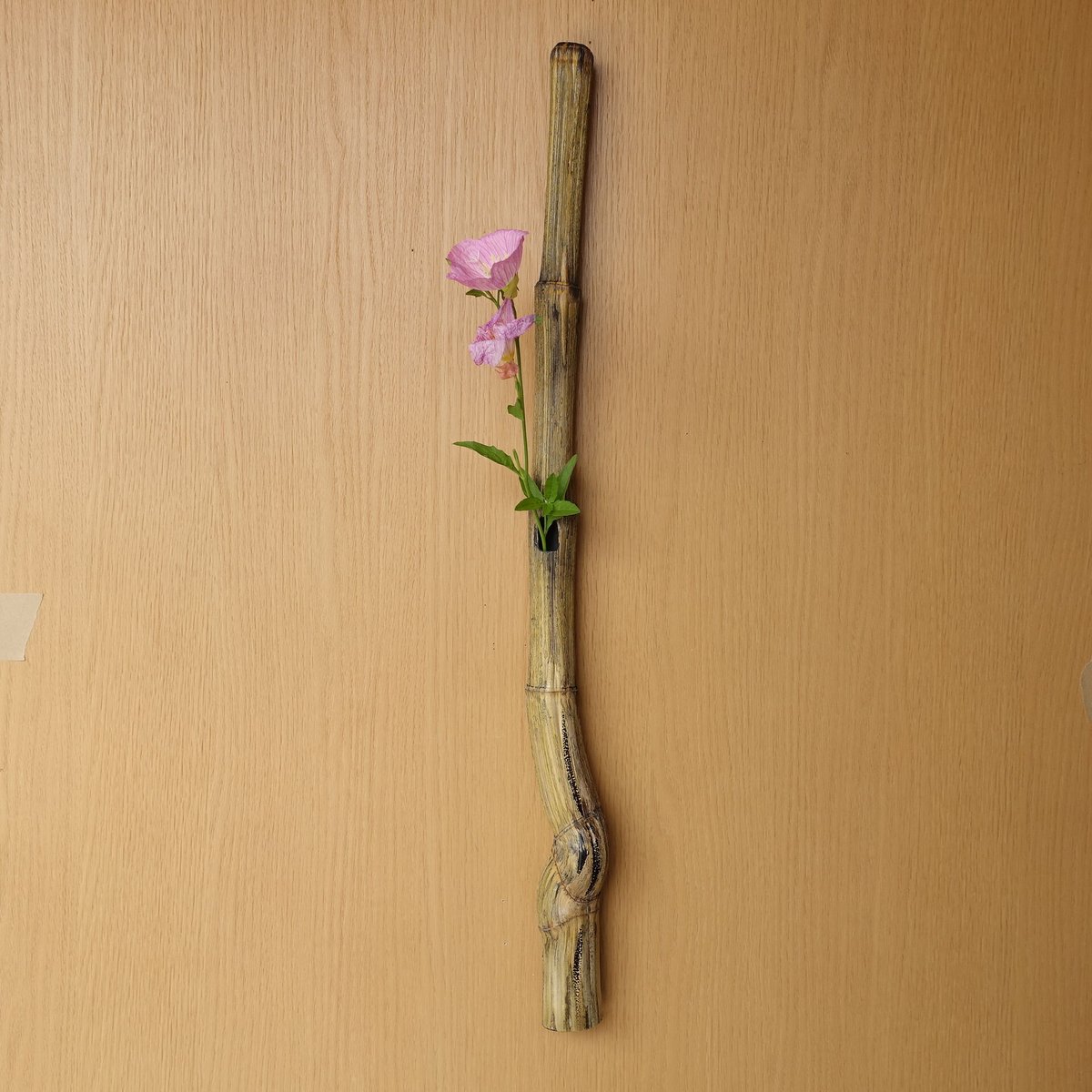 自然変色 竹の一輪挿し 壁掛け L=680mm | 木のクラフトショップ うるも