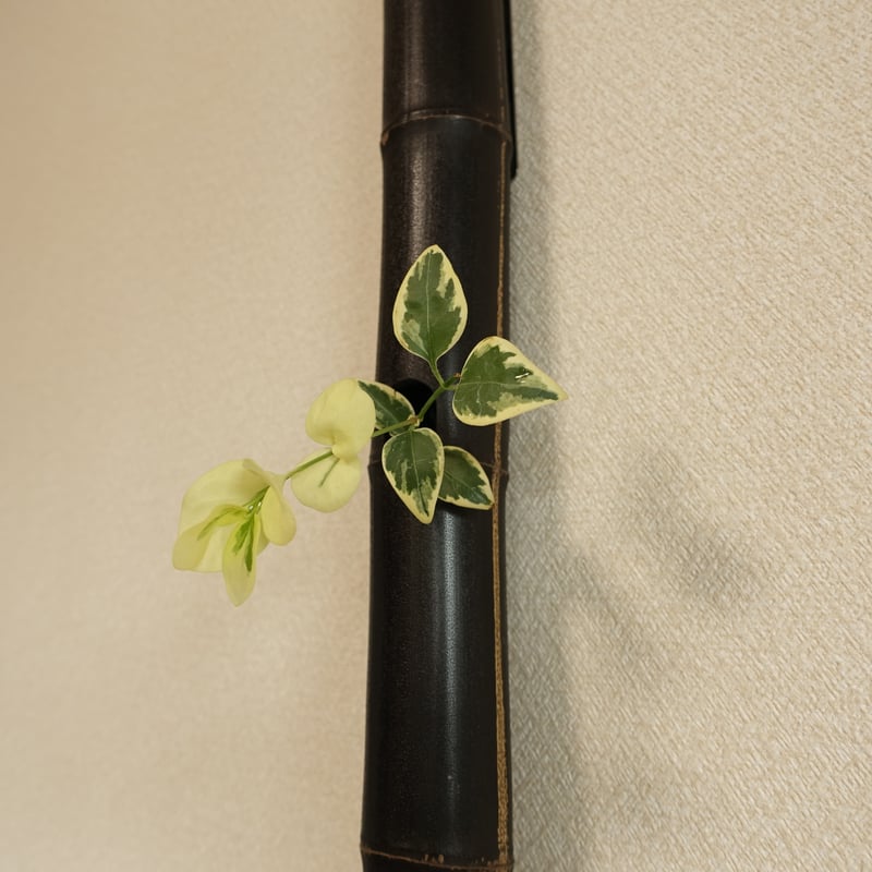 自然変色 竹の一輪挿し 壁掛け L=609mm | 木のクラフトショップ うるも