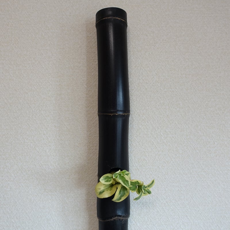 竹一輪挿し！ 楽天市場】竹 一輪挿しの通販
