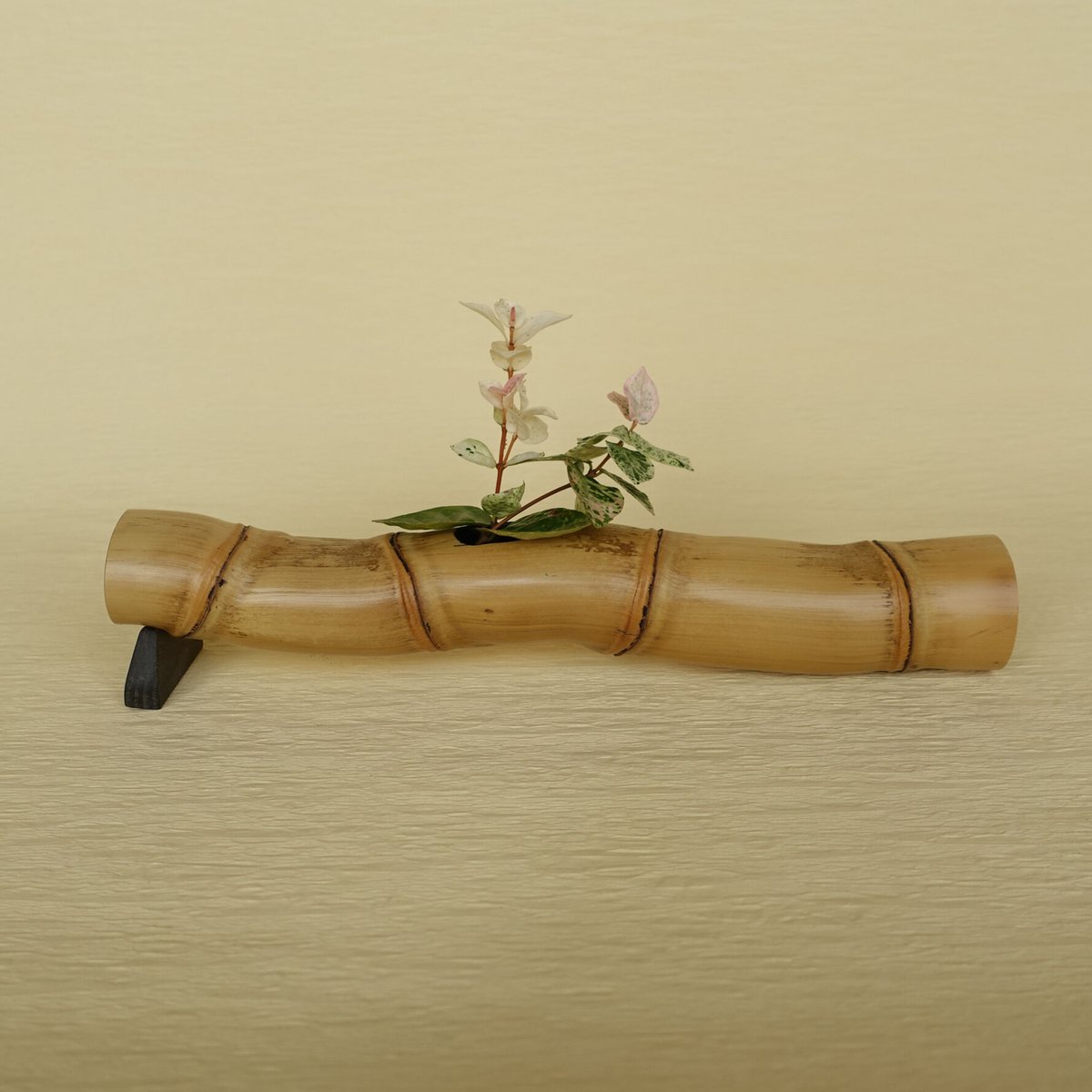 竹一輪挿し！ fit=scale-down,w=1200