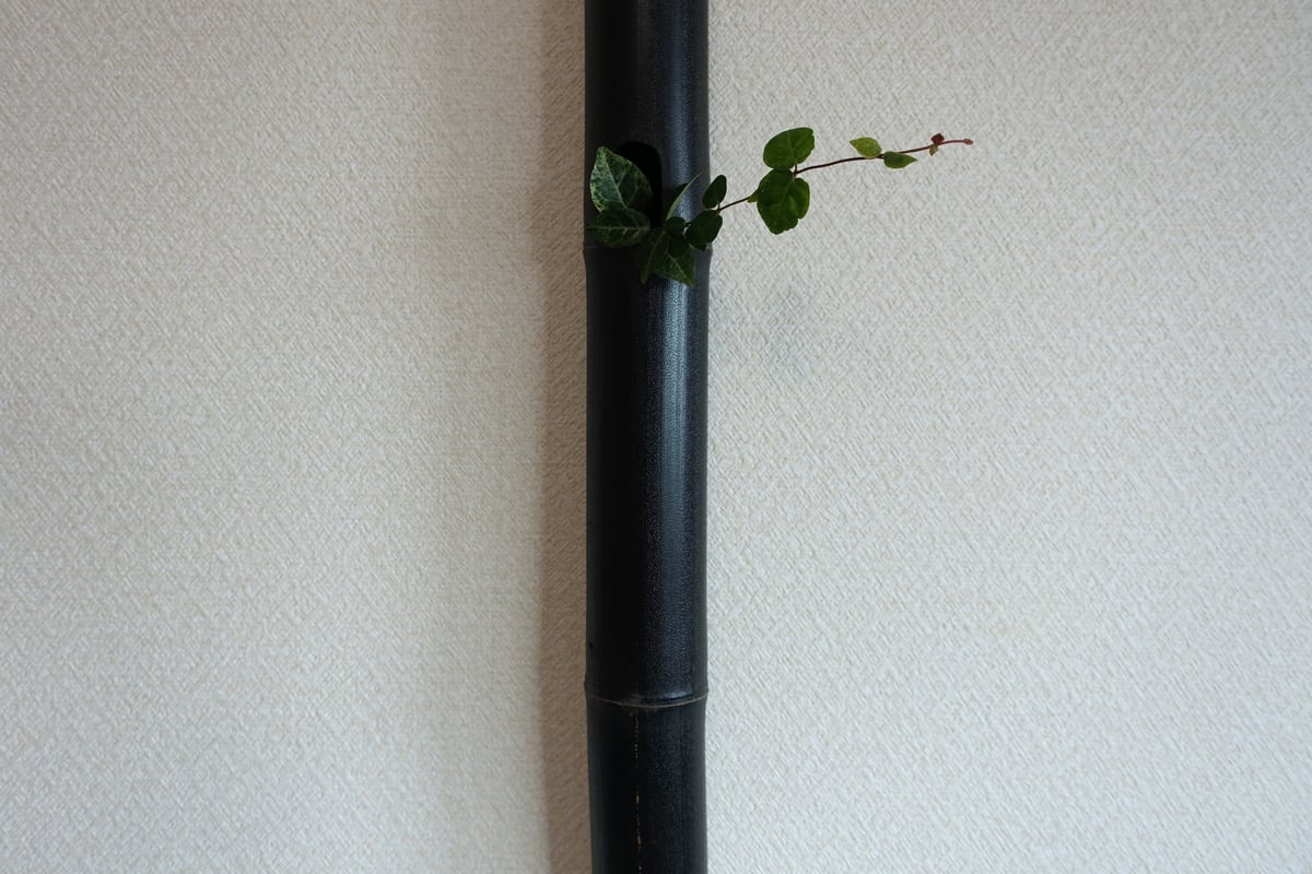自然変色 竹の一輪挿し 壁掛け L=621mm | 木のクラフトショップ うるも