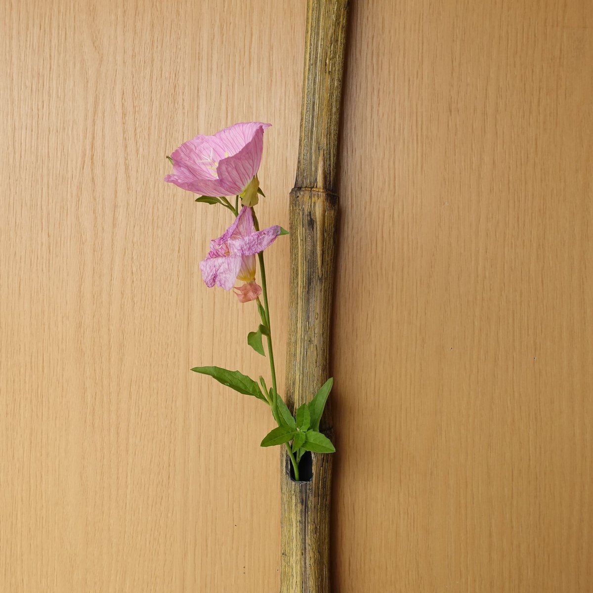 自然変色 竹の一輪挿し 壁掛け L=680mm | 木のクラフトショップ