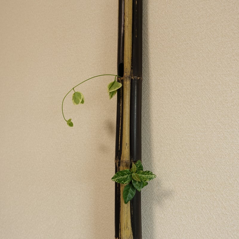 竹一輪挿し！ 自然変色 竹の一輪挿し 壁掛け L=465mm | 木のクラフトショップ