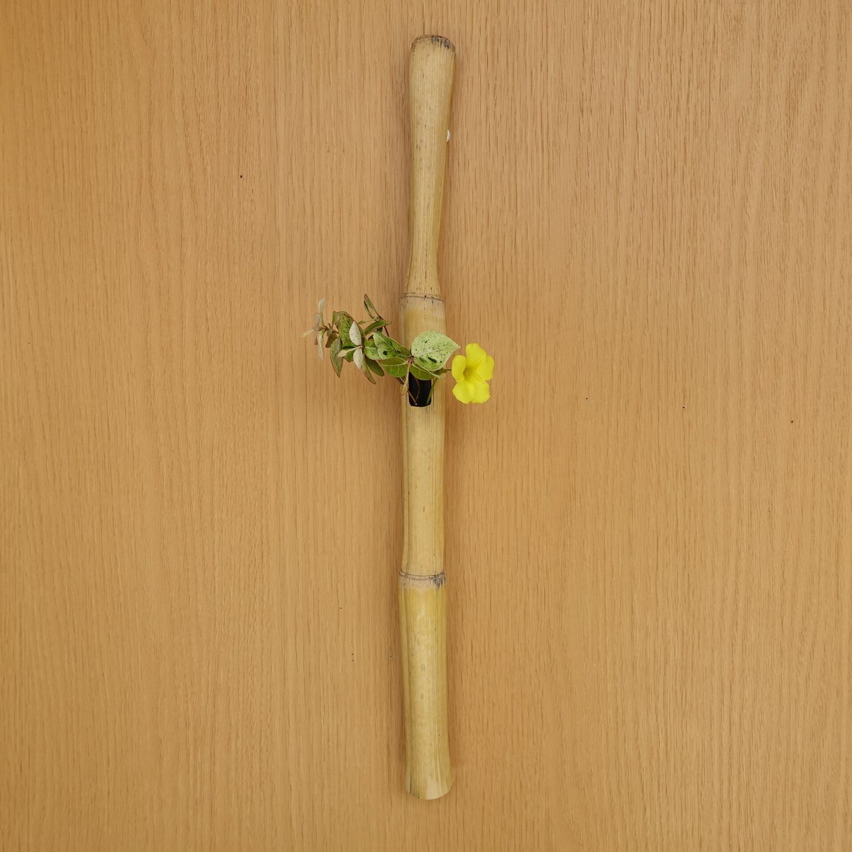 自然変色 竹の一輪挿し 壁掛け L=422mm | 木のクラフトショップ