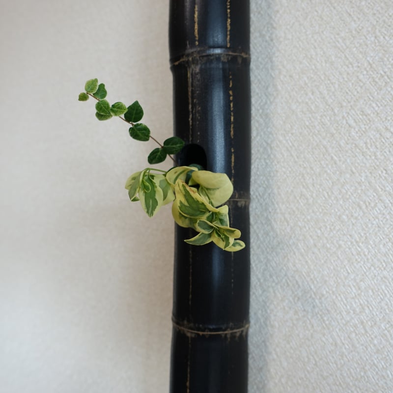 自然変色 竹の一輪挿し 壁掛け L=611mm | 木のクラフトショップ うるも