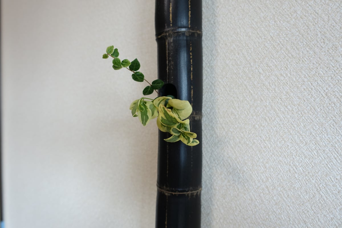 自然変色 竹の一輪挿し 壁掛け L=611mm | 木のクラフトショップ うるも