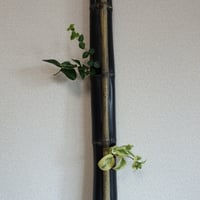 自然変色 竹の一輪挿し 吊り型 L=267mm | 木のクラフトショップ うるも