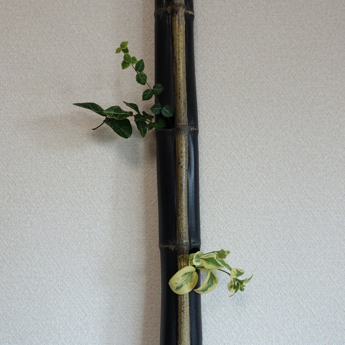 竹一輪挿し！ fit=scale-down,w=1200