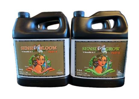 pH Perfect Sensi Coco Bloom Part A＆B 4L pH Perfect Sensi Coco Bloom Part A＆B 4L 【公式通販】