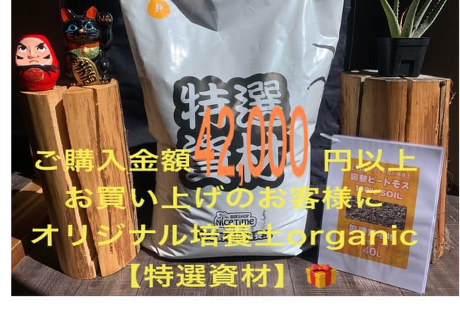園芸SHOP NICETIME