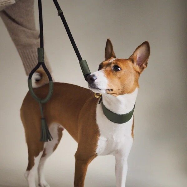 Hunting Pony ハンティングポニータッセル付リード&ハーネス&首輪 Hunting Pony ハンティングポニータッセル付リード&ハーネス&首輪