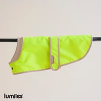 lumiies® THE GLOW Raincoat – Oxford Yellow