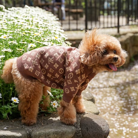 Doggy Avenue Louis Doggy モノグラムプルオーバー