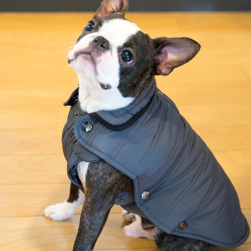 MILK&PEPPER Blockコート | HarrieBelle 