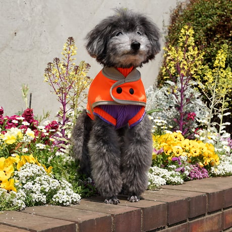lumiies® THE GLOW Raincoat Oxford Orange