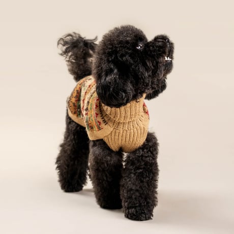 ALQO WASI Fair Isle Finn アルパカニット