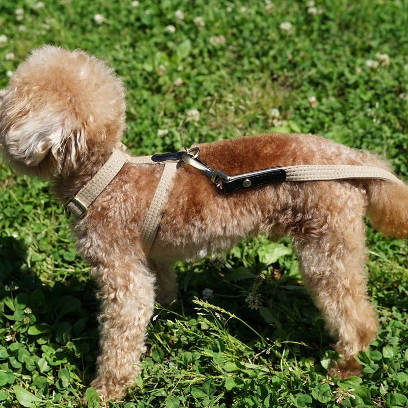 MILK&PEPPER サファリHハーネス Beige | HarrieBelle