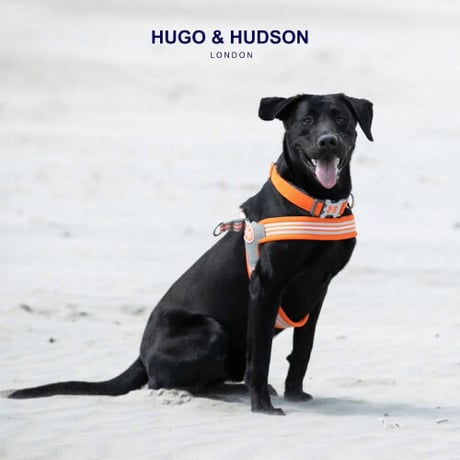 HUGO&HUDSON Easy Walk ハーネス Orange