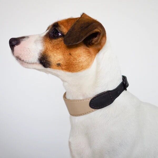 Hunting Pony ハンティングポニータッセル付リード&ハーネス&首輪 Hunting Pony ハンティングポニータッセル付リード&ハーネス