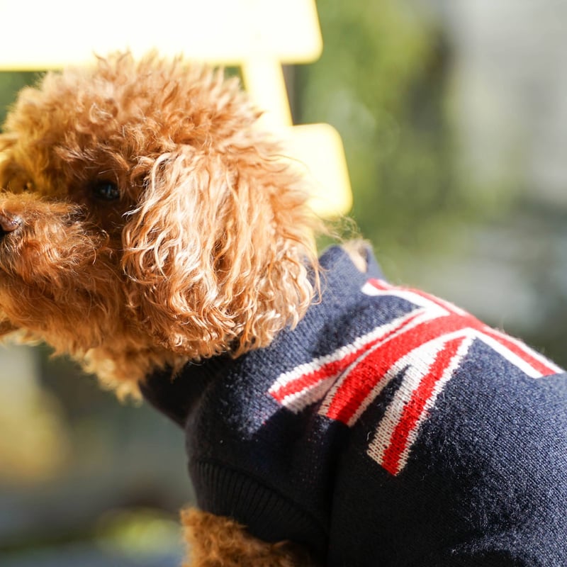 MILK&PEPPER ユニオンジャックセーター | HarrieBelle