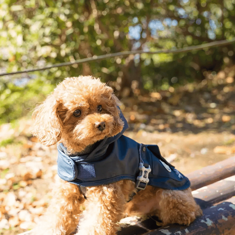 Hugo＆Hudson 犬用 レインコート 【公式通販】