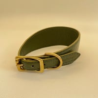 Hunting Pony 首輪　オリーブグリーン