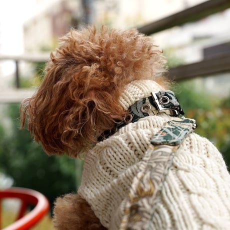 BlossomCo Morris&Co Snakeshead リード
