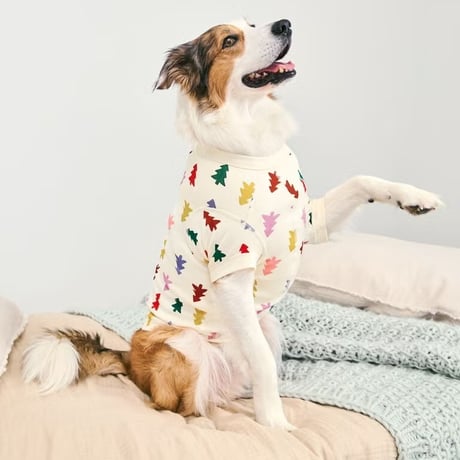 Hanna Andersson パインツリーTシャツ