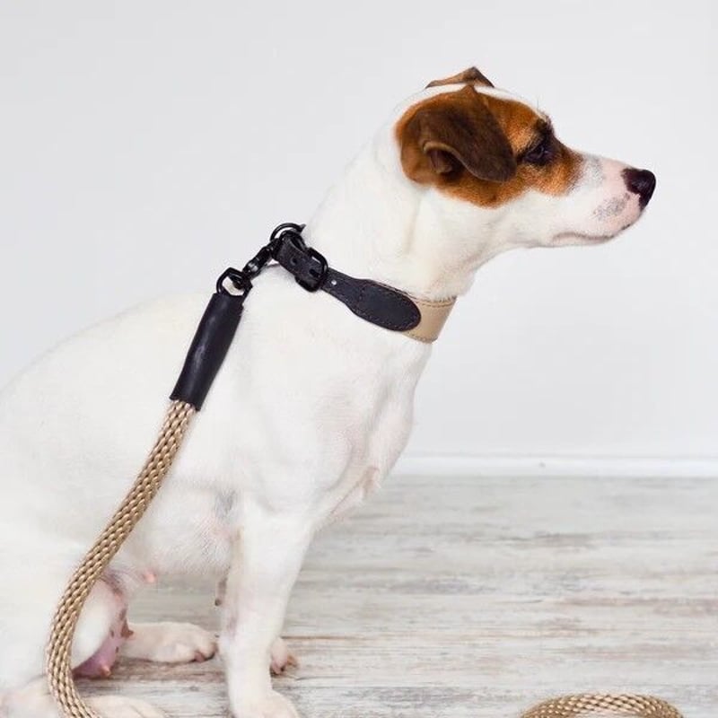 HuntingPony ハンティングポニー　リード　小型犬〜中型犬　北欧 HuntingPony ハンティングポニー リード 小型犬〜中型犬 北欧