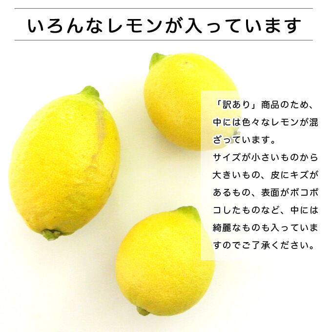 徳さんの低農薬瀬戸内レモン 国産レモン 広島県産 訳あり | nanico