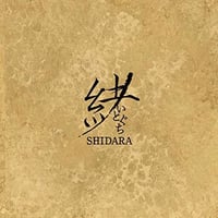 井上堯之「COMEBACK」 | NEW VINTAGE RECORDS STORE