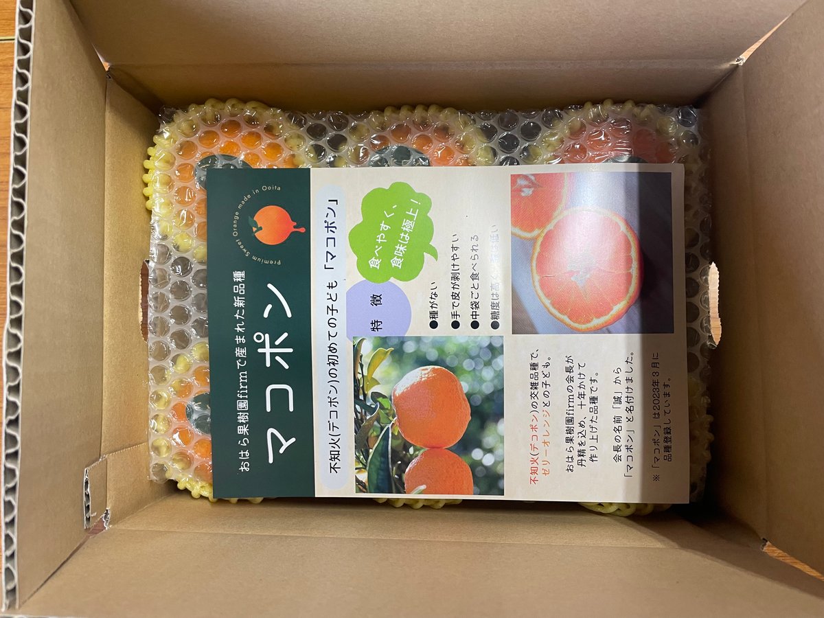 マコポンL玉16個入り【1/5から順次発送予定】 | (株)おはら果樹園 firm