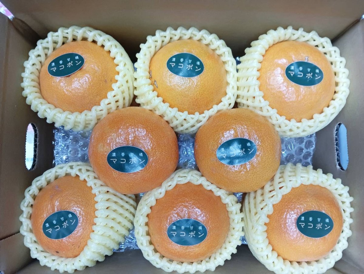 マコポンL玉16個入り【1/5から順次発送予定】 | (株)おはら果樹園 firm