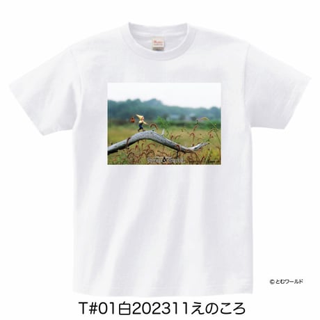 Tシャツ#01白【Sサイズから2L(XL)サイズ】【2023】