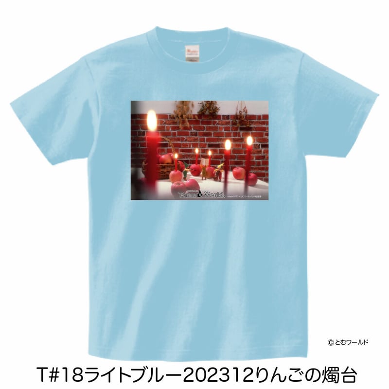 Tシャツ#18ライトブルー【3L(XXL)サイズから4L(XXXL)サイズ】【2023