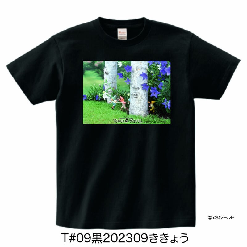美品 LEFLAH 沖縄周年記念限定】XXLサイズ Tシャツ 美品 LEFLAH