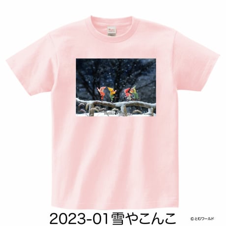 Tシャツ#10ライトピンク【Sサイズから2L(XL)サイズ】【2023】