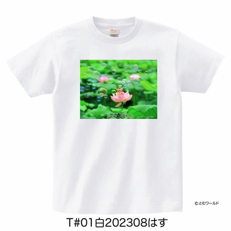 Tシャツ#01白【Sサイズから2L(XL)サイズ】【2023】