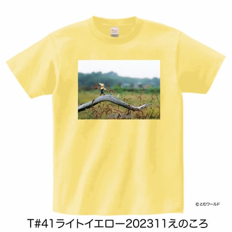 Tシャツ#41ライトイエロー【Sサイズから2L(XL)サイズ】【2023】
