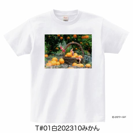 Tシャツ#01白【Sサイズから2L(XL)サイズ】【2023】