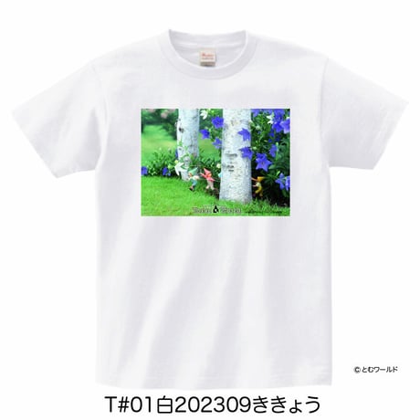 Tシャツ#01白【Sサイズから2L(XL)サイズ】【2023】