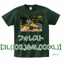 Tシャツ#37フォレスト【3L(XXL)サイズから4L(XXXL)サイズ】【2023】
