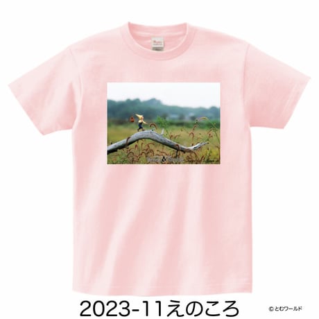 Tシャツ#10ライトピンク【Sサイズから2L(XL)サイズ】【2023】