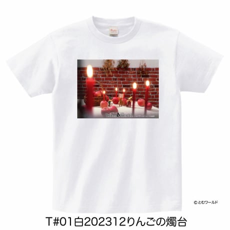 Tシャツ#01白【Sサイズから2L(XL)サイズ】【2023】