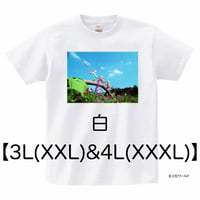 Tシャツ#01白【3L(XXL)サイズから4L(XXXL)サイズ】【2023】