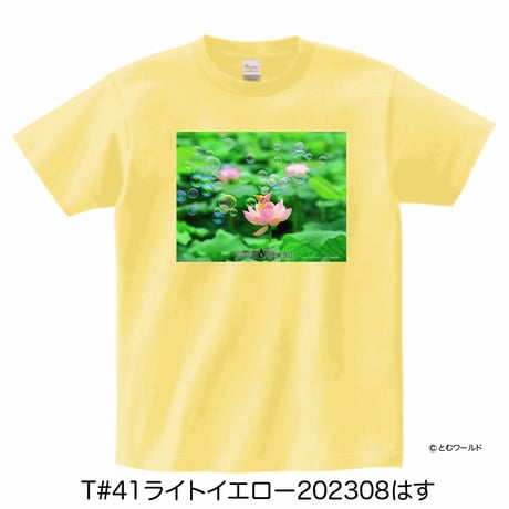 Tシャツ#41ライトイエロー【Sサイズから2L(XL)サイズ】【2023】
