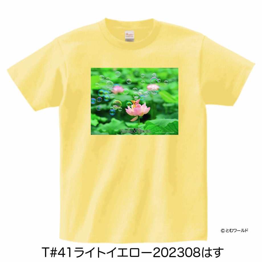 643042cf79443d002a362c91