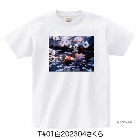 Tシャツ#01白【Sサイズから2L(XL)サイズ】【2023】